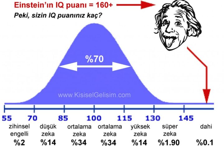 Yüksek IQ ve Otizm İlişkisi: Uzman Görüşü [2026] - Kapak Görseli